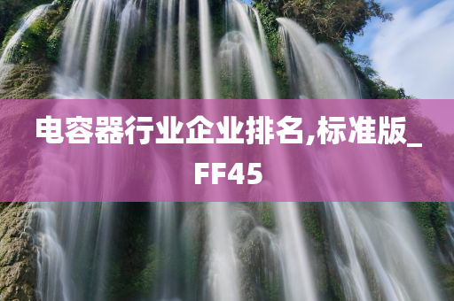 电容器行业企业排名,标准版_FF45