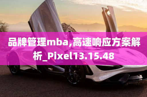 品牌管理mba,高速响应方案解析_Pixel13.15.48