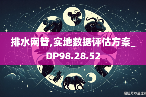 排水网管,实地数据评估方案_DP98.28.52