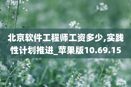 北京软件工程师工资多少,实践性计划推进_苹果版10.69.15