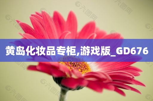 黄岛化妆品专柜,游戏版_GD676