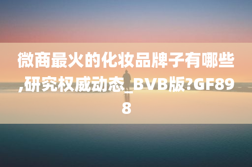 微商最火的化妆品牌子有哪些,研究权威动态_BVB版?GF898