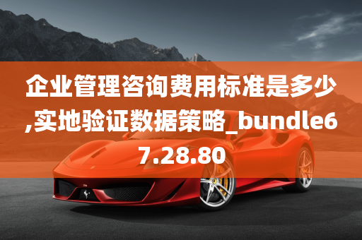 企业管理咨询费用标准是多少,实地验证数据策略_bundle67.28.80