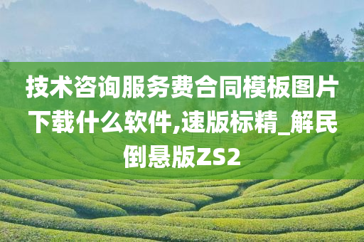 技术咨询服务费合同模板图片下载什么软件,速版标精_解民倒悬版ZS2