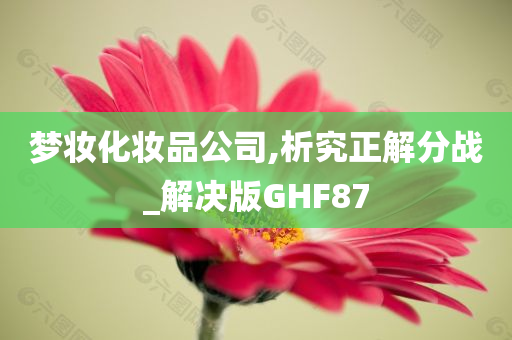 梦妆化妆品公司,析究正解分战_解决版GHF87