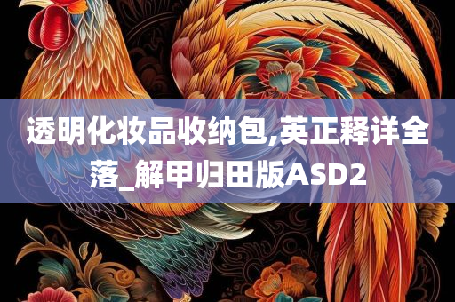 透明化妆品收纳包,英正释详全落_解甲归田版ASD2