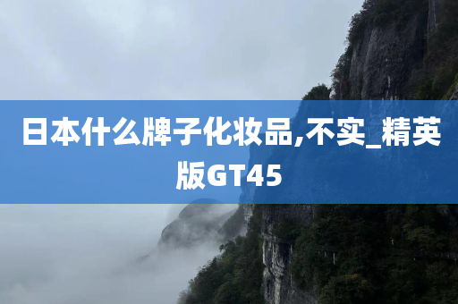 日本什么牌子化妆品,不实_精英版GT45