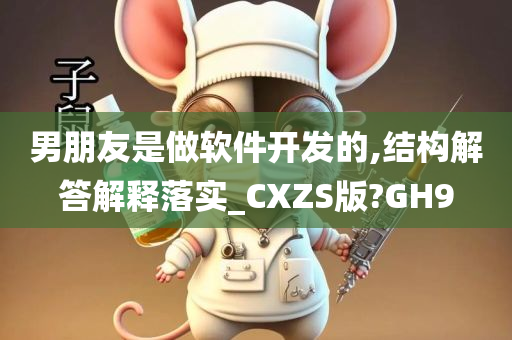 男朋友是做软件开发的,结构解答解释落实_CXZS版?GH9