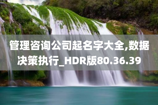 管理咨询公司起名字大全,数据决策执行_HDR版80.36.39