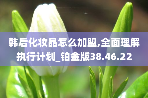 韩后化妆品怎么加盟,全面理解执行计划_铂金版38.46.22