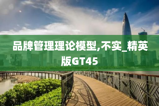 品牌管理理论模型,不实_精英版GT45