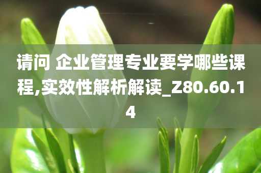 请问 企业管理专业要学哪些课程,实效性解析解读_Z80.60.14