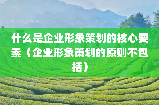 什么是企业形象策划的核心要素（企业形象策划的原则不包括）