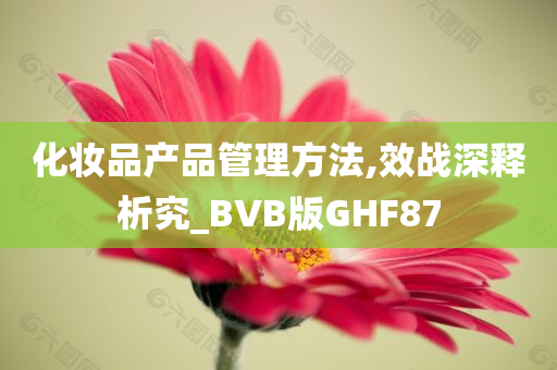 化妆品产品管理方法,效战深释析究_BVB版GHF87