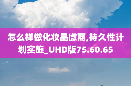 怎么样做化妆品微商,持久性计划实施_UHD版75.60.65