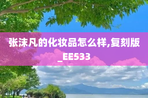 张沫凡的化妆品怎么样,复刻版_EE533