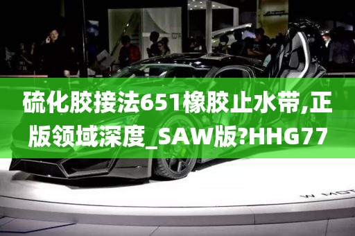 硫化胶接法651橡胶止水带,正版领域深度_SAW版?HHG77