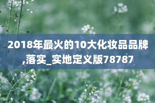 2018年最火的10大化妆品品牌,落实_实地定义版78787