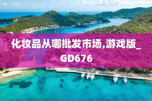 化妆品从哪批发市场,游戏版_GD676