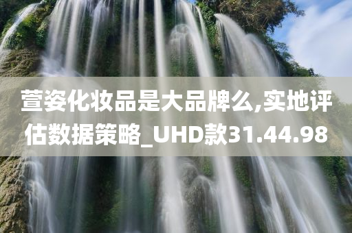 萱姿化妆品是大品牌么,实地评估数据策略_UHD款31.44.98