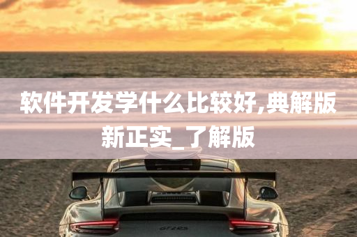 软件开发学什么比较好,典解版新正实_了解版