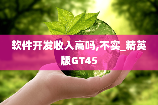 软件开发收入高吗,不实_精英版GT45