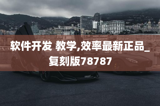 软件开发 教学,效率最新正品_复刻版78787