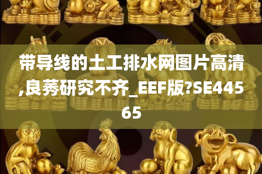 带导线的土工排水网图片高清,良莠研究不齐_EEF版?SE44565