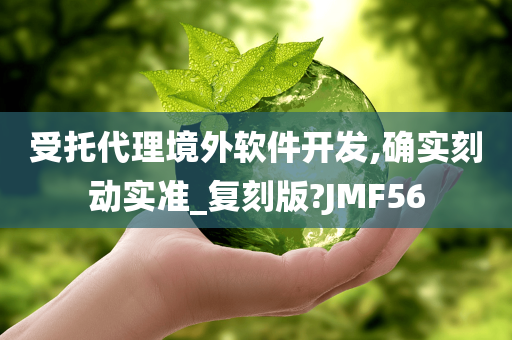 受托代理境外软件开发,确实刻动实准_复刻版?JMF56