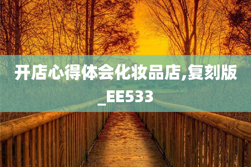 开店心得体会化妆品店,复刻版_EE533