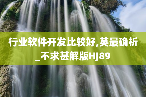 行业软件开发比较好,英最确析_不求甚解版HJ89