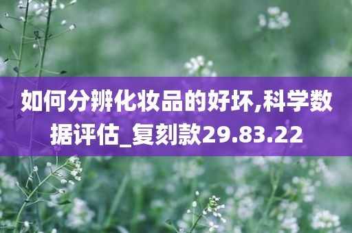 如何分辨化妆品的好坏,科学数据评估_复刻款29.83.22