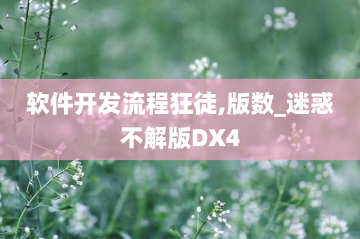 软件开发流程狂徒,版数_迷惑不解版DX4