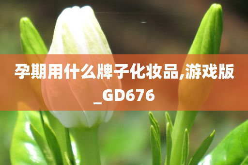 孕期用什么牌子化妆品,游戏版_GD676