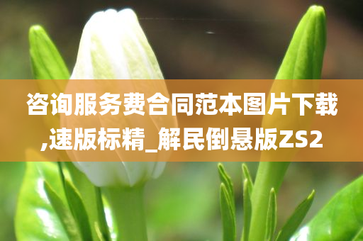 咨询服务费合同范本图片下载,速版标精_解民倒悬版ZS2