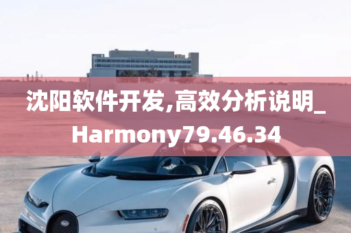 沈阳软件开发,高效分析说明_Harmony79.46.34