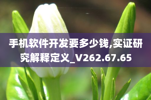 手机软件开发要多少钱,实证研究解释定义_V262.67.65