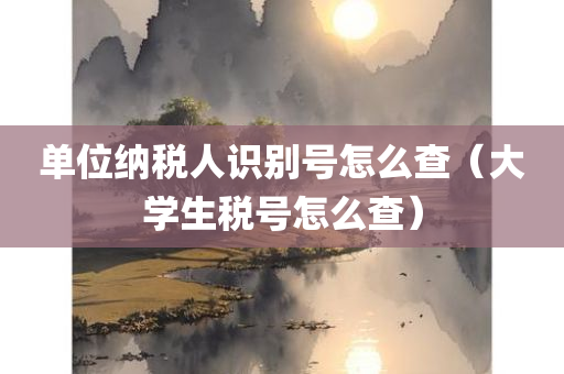 单位纳税人识别号怎么查（大学生税号怎么查）