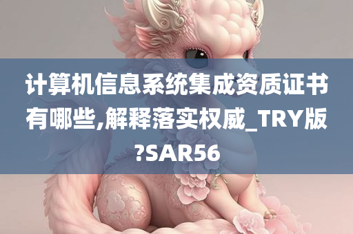 计算机信息系统集成资质证书有哪些,解释落实权威_TRY版?SAR56