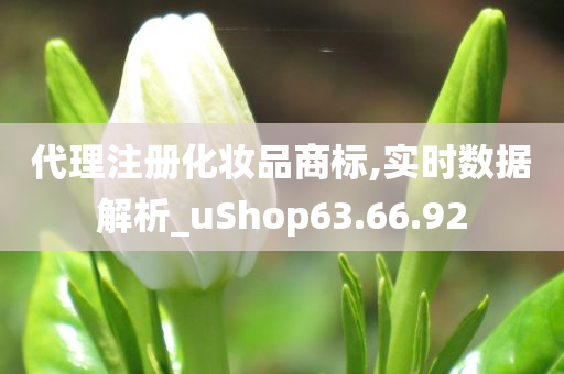 代理注册化妆品商标,实时数据解析_uShop63.66.92