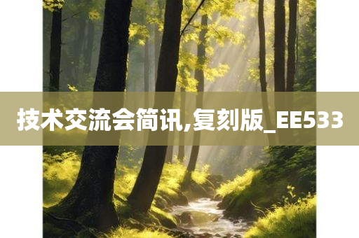 技术交流会简讯,复刻版_EE533