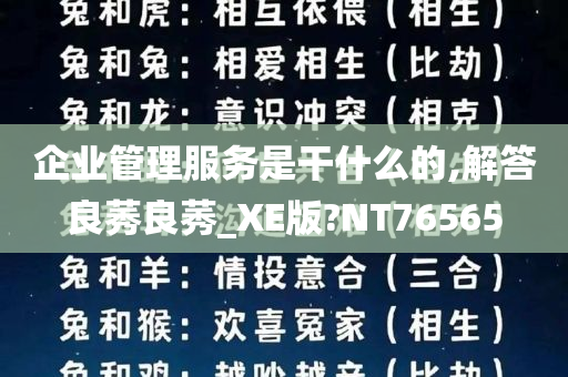 企业管理服务是干什么的,解答良莠良莠_XE版?NT76565