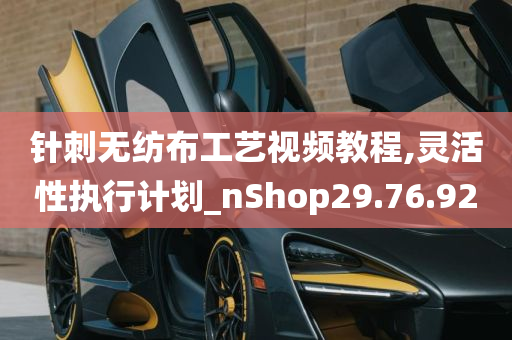 针刺无纺布工艺视频教程,灵活性执行计划_nShop29.76.92