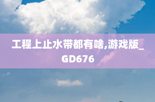 工程上止水带都有啥,游戏版_GD676