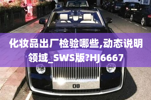 化妆品出厂检验哪些,动态说明领域_SWS版?HJ6667