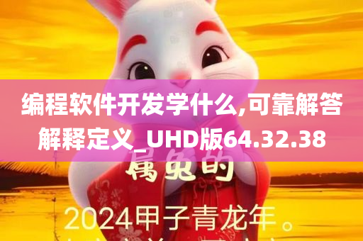 编程软件开发学什么,可靠解答解释定义_UHD版64.32.38