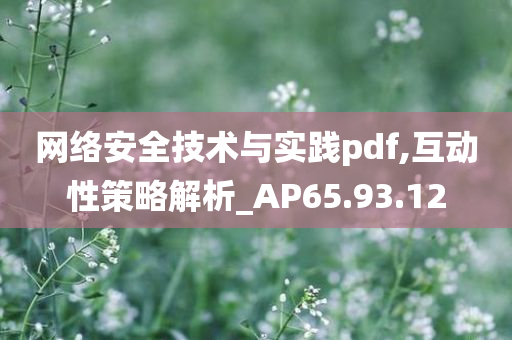 网络安全技术与实践pdf,互动性策略解析_AP65.93.12