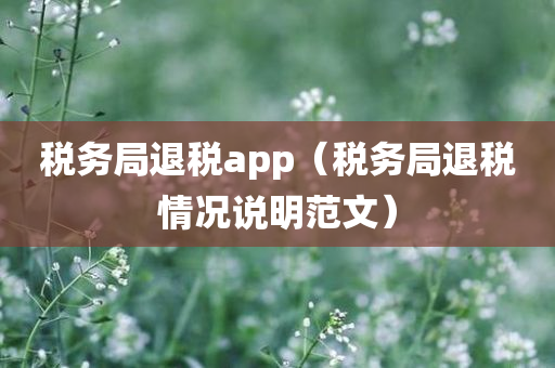 税务局退税app（税务局退税情况说明范文）